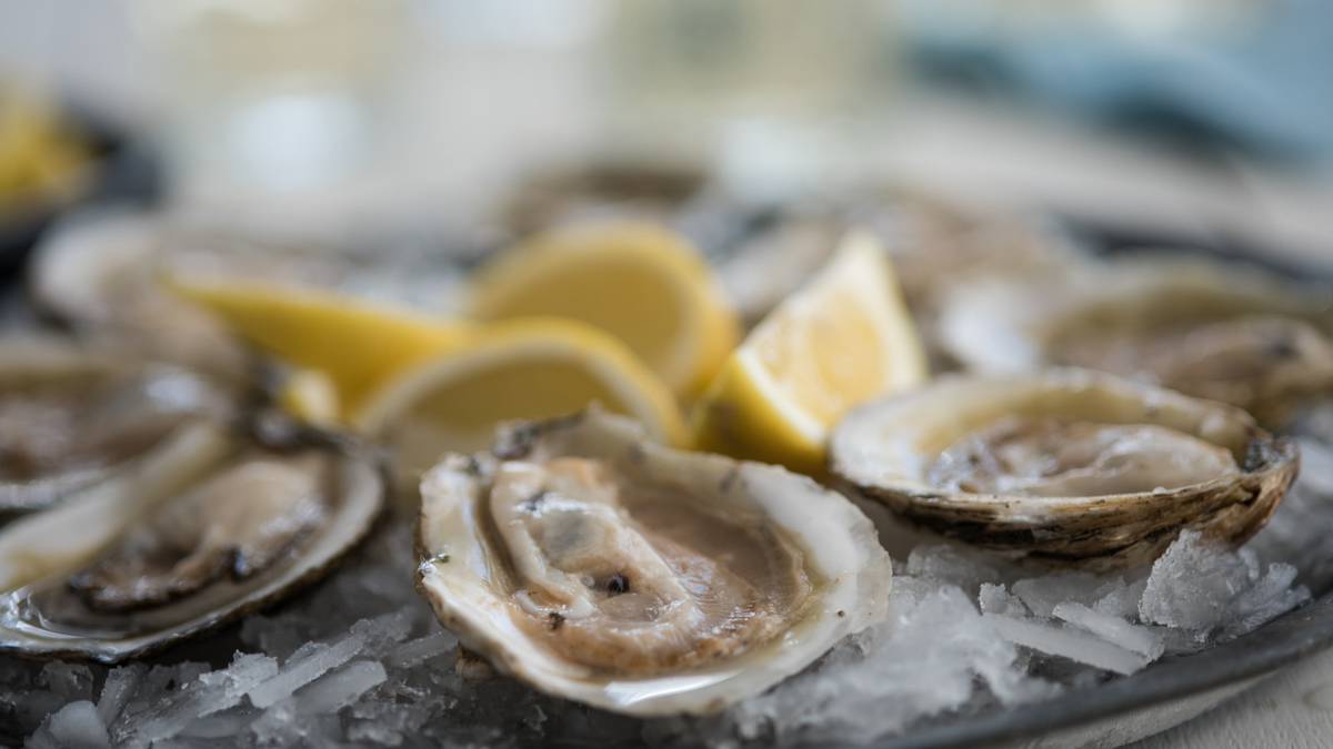Bluff oyster season How to make the most of this New Zealand delicacy